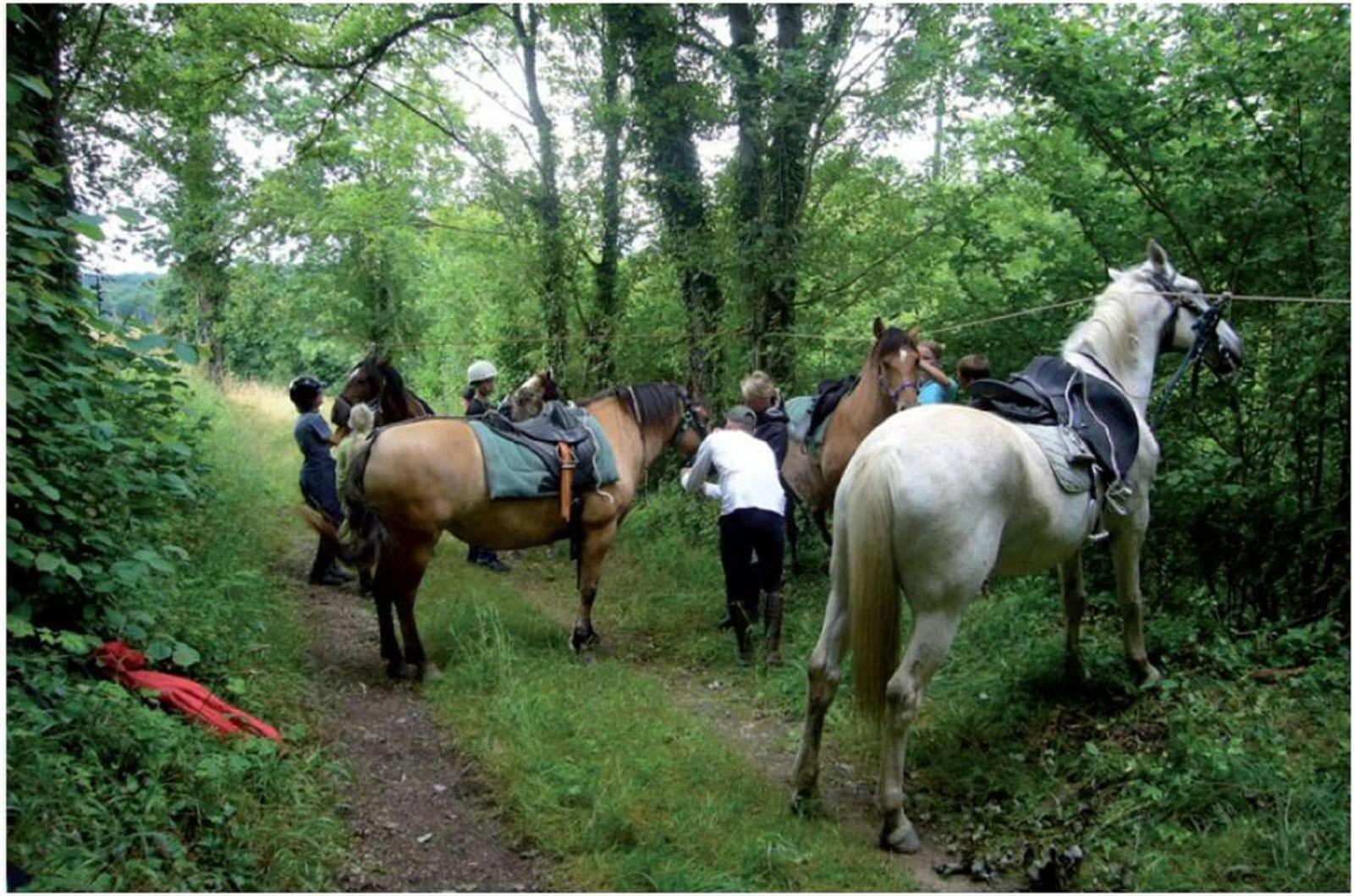 La Mancine Laulan Bed & Breakfast Jau-Dignac-et-Loirac Eksteriør bilde